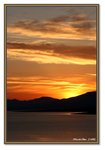 Frame_IMG_7147 eweb