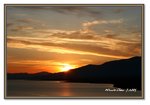 Frame_IMG_7154 eweb