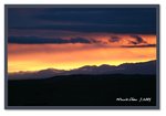 Frame_IMG_7549web