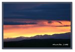 Frame_IMG_7553web
