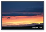 Frame_IMG_7555web