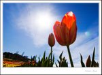 _MG_9006 ec2