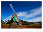 _MG_9022 e