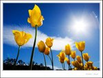 _MG_9029 ec