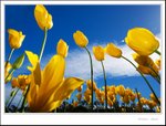 _MG_9038 e