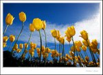 _MG_9043 ec