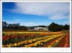 _MG_9119 e