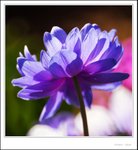 _MG_9136 ec