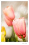 _MG_9141 ec2