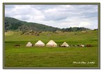 Frame_IMG_6441 eweb