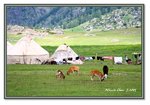Frame_IMG_6450 eweb