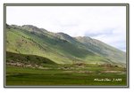 Frame_IMG_6452 eweb