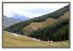 Frame_IMG_6474 eweb