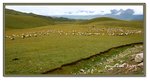 Frame_IMG_7326 eweb