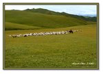 Frame_IMG_7332 e2web