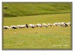 Frame_IMG_7333 eweb