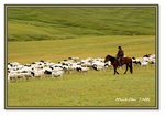 Frame_IMG_7334 eweb