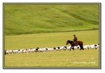 Frame_IMG_7340 eweb