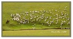 Frame_IMG_7345 eweb