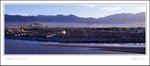 The Potala in the Morning 早晨的布達拉宮
scan 133