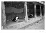 
青海-塔爾寺 Qinghai-Ta'er Monastery 
scan 053
