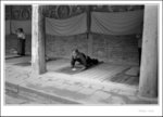 
青海-塔爾寺 Qinghai-Ta'er Monastery 
scan 054