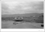 青海湖 Qinghai Lake 
scan 066