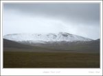 _MG_2485 e