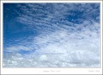 _MG_2499 e