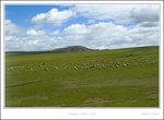 _MG_2513 e