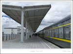 _MG_2533 e