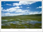 _MG_2546 e
