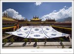 _MG_2877 e