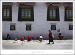 _MG_3229 e