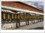 _MG_3369 e
