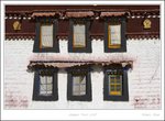 _MG_3377 e