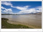 _MG_3155 e
