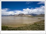 _MG_3158 e
