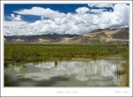 _MG_3159 e