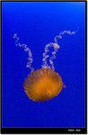_MG_2028 ec