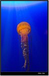 _MG_2105 ec