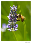 _MG_0111 ec2