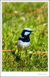 _MG_0172 ec