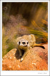 _MG_0191 ec