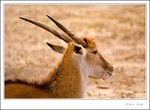 _MG_0213 ec