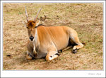 _MG_0215 ec