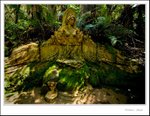 Earthly Mother
_MG_9307 e