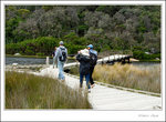 walk no.2: to Squeaky Beach
_MG_0010 e