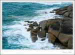 _MG_0043 e