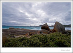 _MG_0057 e